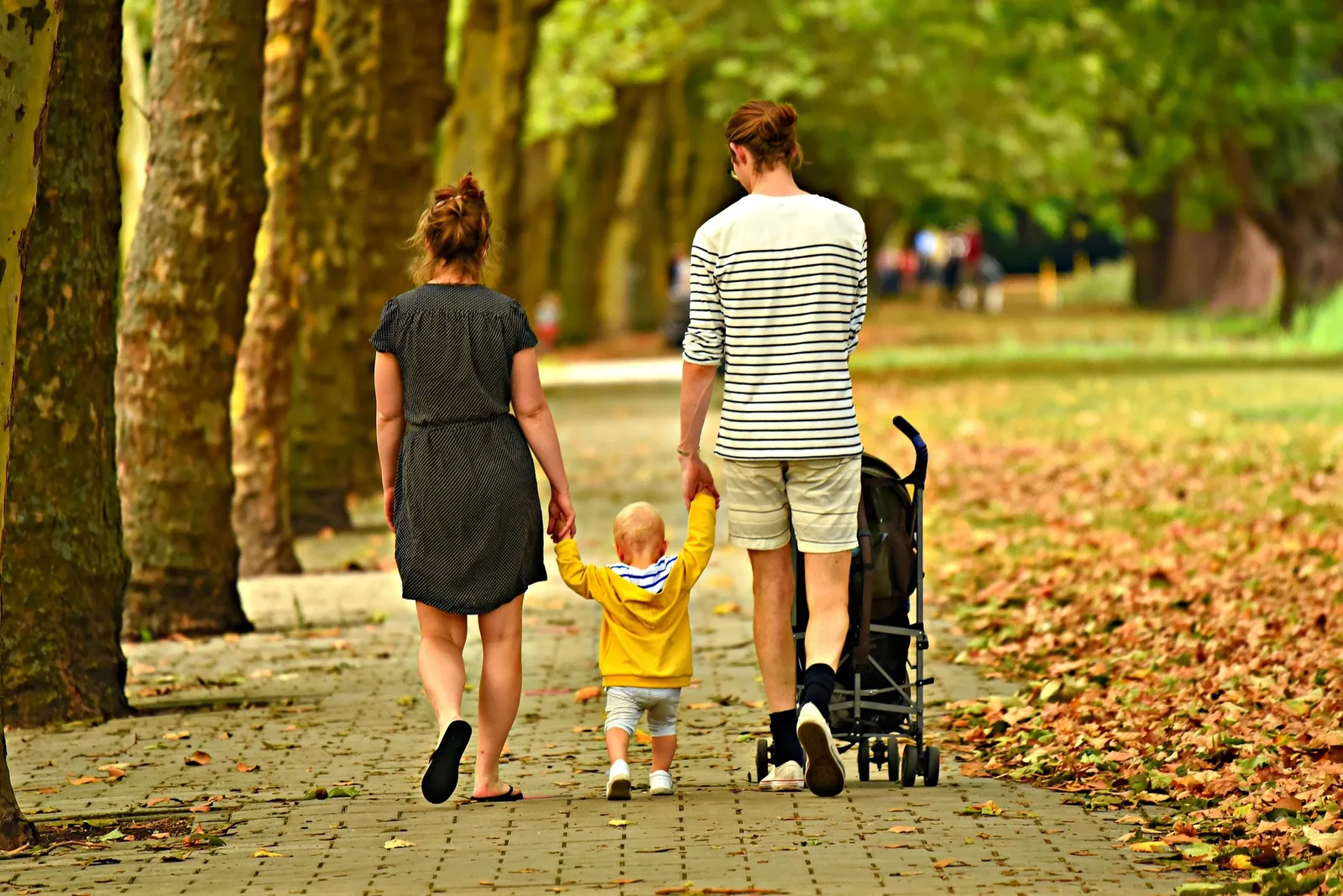 Una familia de espaldas paseando por un parque en otoño, llevando de la mano a su hijo pequeño