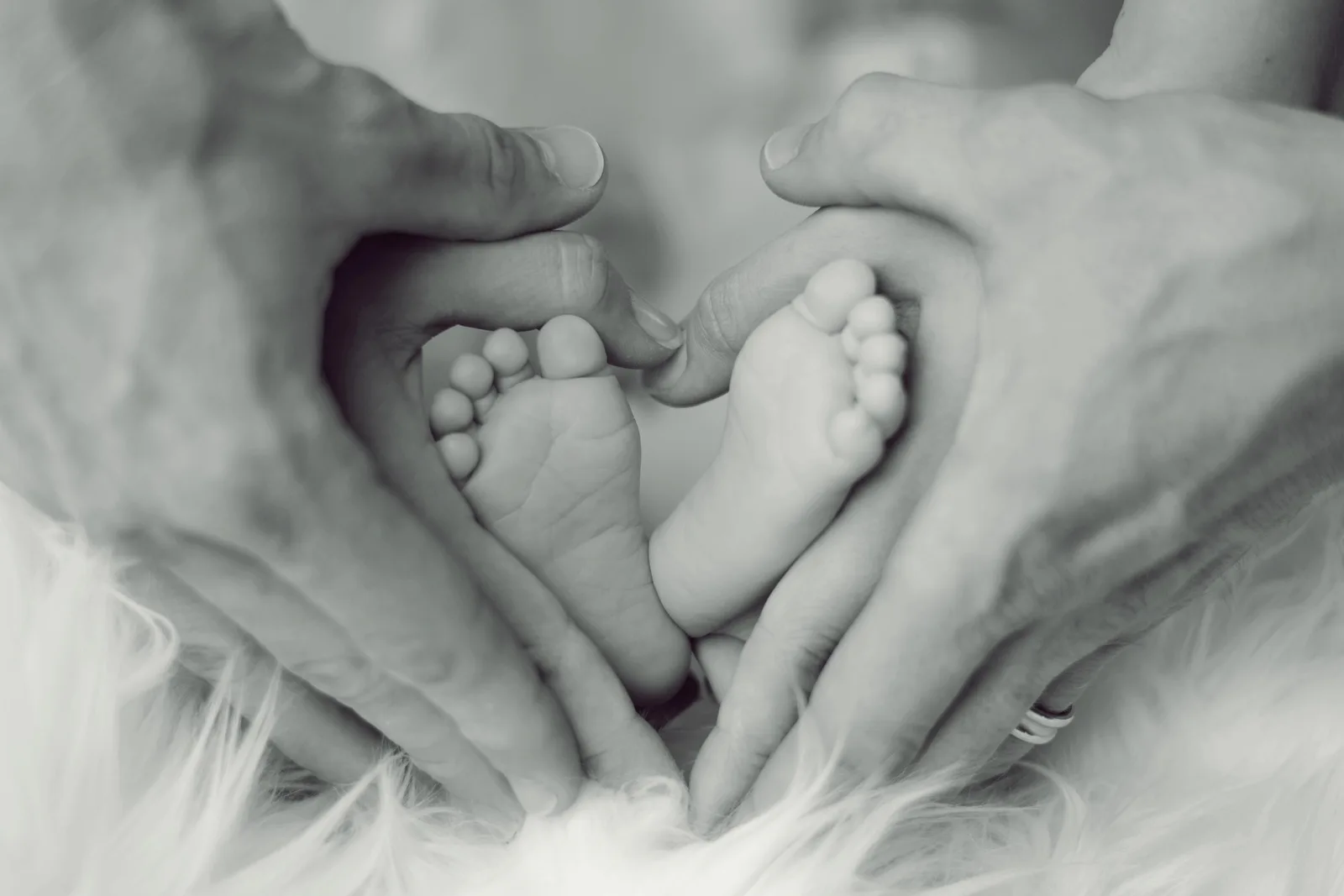 Los pies de un bebé sostenidos entre las manos de sus padres, en blanco y negro